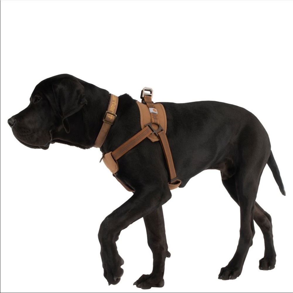 Dog harness
